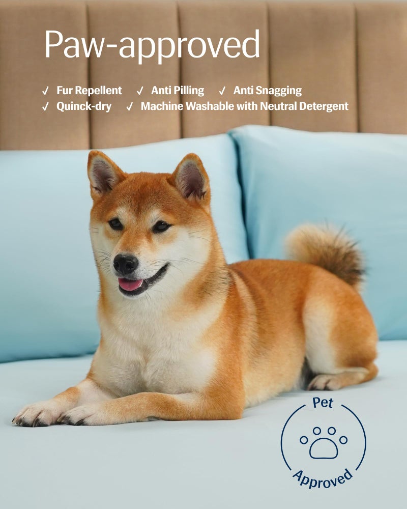 REST Evercool+ Starter Sheet Set, Full, Light Blue, Breathable Bed Sheet for Hot Sleeper and Night Sweats, with Pillowcases, Ionic+ Self-Cleaning Silver Yarn for Sensitive Skin, 3PCS No Flat Sheet - Image 5